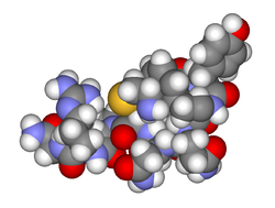 Антидиуретический эффект что это. 250px Arginine vasopressin3d. Антидиуретический эффект что это фото. Антидиуретический эффект что это-250px Arginine vasopressin3d. картинка Антидиуретический эффект что это. картинка 250px Arginine vasopressin3d