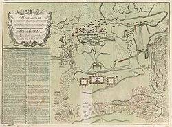 Battle of Stavuchany Map.jpg