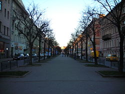Bolshaya Konyushennaya Street.jpg