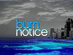 Burn Notice - intertitle.jpg
