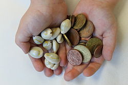 Cowry money Monetaria annulus an Euro-cent coins 2.JPG