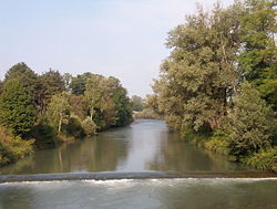 Дора-Рипария в парке Турина
