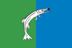 Flag of Nizhnesortymsky (Khanty-Mansia).png