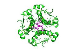 InsulinHexamer.jpg