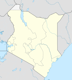 Бунгома (город) (Кения)