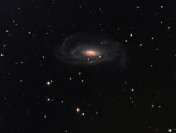 NGC5033.jpg
