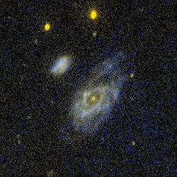 NGC 1241 1242 GALEX WikiSky.jpg