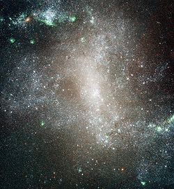 NGC 1313 HST.jpg