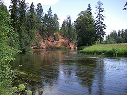 Река Оредеж возле посёлка Сиверский
