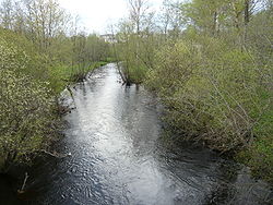 река Осуга в районе города Кувшиново в мае