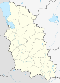Большие Болота (Псковская область) (Псковская область)