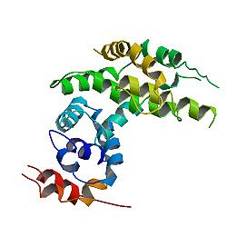 PBB Protein NF1 image.jpg