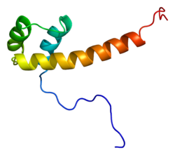 Protein PAX6 PDB 2cue.png