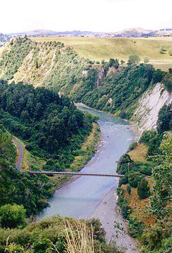 Река Рангитикеи недалеко от города Булс