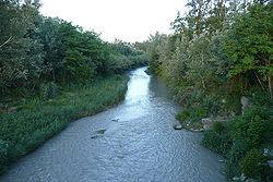 Rivière Cavalon près de Cavaillon.JPG
