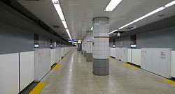 Senkawa station Fukutoshin Line platform.jpg