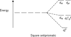 Square antiprismatic.png