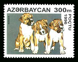 Stamp of Azerbaijan 403.jpg