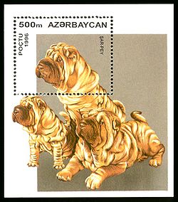 Stamp of Azerbaijan 405.jpg
