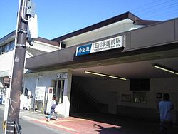 Tamagawagakuenstation.jpg