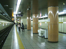 TokyoMetro-Y02-Chikatetsu-narimasu-station-platform.jpg