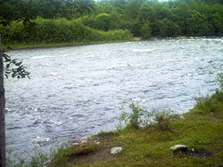 Река в окрестностях одноимённого посёлка