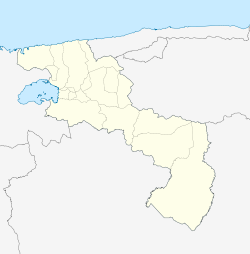 Турмеро (Арагуа)