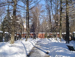 Новодевичье кладбище зимой