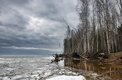 250px rybinsk reservoir in april