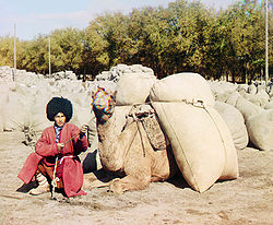 250px turkmen man with camel