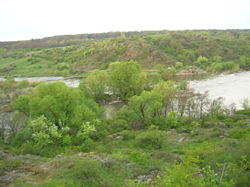 Южный Буг возле села Мигея (Николаевская область)