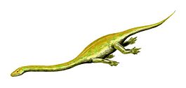 Dinocephalosaurus orientalis