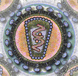 Human Immunodeficency Virus - stylized rendering.jpg
