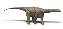 Hypselosaurus BW.jpg