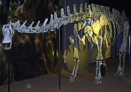 Limaysaurus.jpg