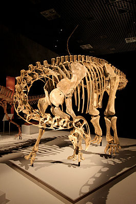 Nigersaurus mount.jpg
