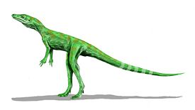Динозавроморфы