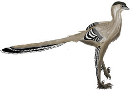 Мэй (динозавр)