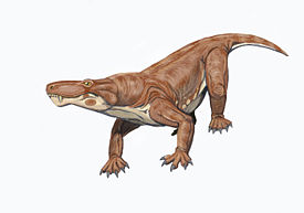 Сцилакозавр