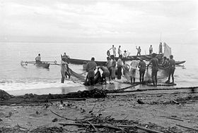 Вид на пролив Манипа с западного берега острова Серам (деревня Каирату). Фотография начала XX века