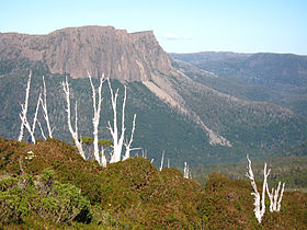 Гора Катедрал, вид с горы Пелион-Ист