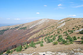 Вид на вершину (в центре) и её западный склон с северной кромки Ялтинской яйлы.