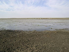 На берегу Маре д'Урси в засушливый период