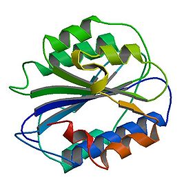 PBB Protein VWF image.jpg