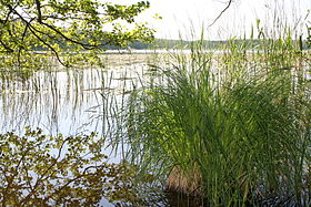 Озеро Пристербэкерзе