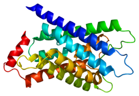 Protein MIP PDB 1sor.png