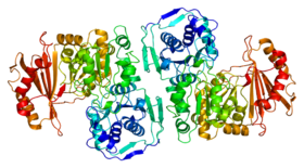 Protein PGM1 PDB 1c47.png