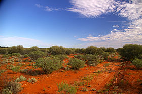 Red Earth Desert.jpg