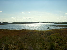 Озеро Шулеское, вид с северного берега
