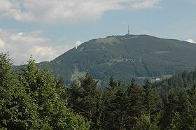 Верхняя часть горы, июнь 2005 г.